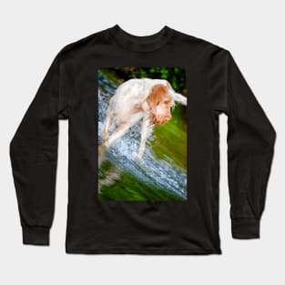 River splash Spinone Long Sleeve T-Shirt